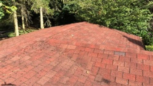 Click Here To Enlarge This Photo Of SEI Roofing (Midlands) Ltd