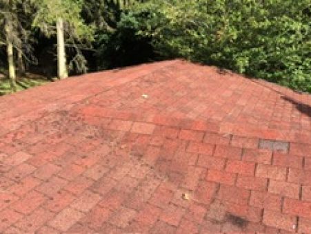 Shingle Roof Replacement