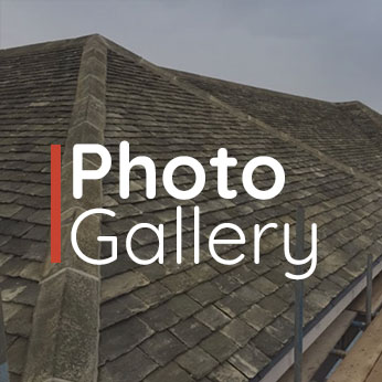 Photo Gallery